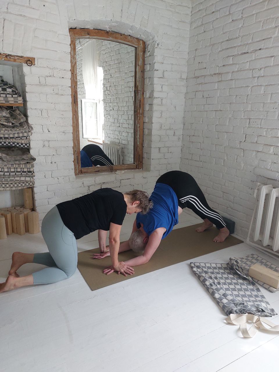 О кармендриях в хатха-йоге кармендрии-ф1.jpg