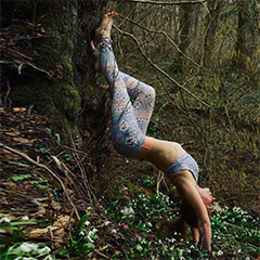 Фотограия блюда